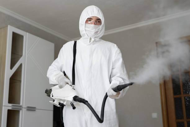 Mold Documentation for Insurance Claims in Edneyville, NC